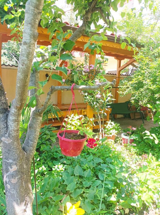Kiki - Family Apartment Primorsko Dış mekan fotoğraf